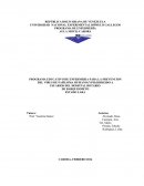 PROGRAMA EDUCATIVO DE ENFERMERIA PARA LA PREVENCION DEL VIRUS DE PAPILOMA HUMANO (VPH) DIRIGIDO A