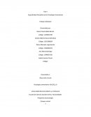 Fase I Especificidad Disciplinar de la Psicología Comunitaria