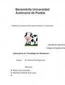 ELABORACIÓN DE QUESOS FRESCOS Y MADURADOS