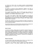 La Comuna de Chanco tiene una actividad productiva predominantemente Silvoagropecuaria con un rango de acción importante en la Agricultura Familiar Campesina.