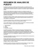 RESUMEN DE ANALISIS DE PUESTO