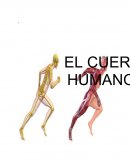 Cómo se organiza el cuerpo humano para cumplir funciones?