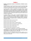 TAREA 1 Identifica 3 agrupaciones sociales, sus características, actividades comunes, costumbres.