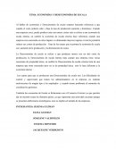 ECONOMÍAS Y DESECONOMÍAS DE ESCALA