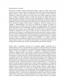 Experimentación en animales. ¿preferiría que la experimentación se llevara a cabo directamente en humanos sin saber que daños podría causarle para así no perjudicar a los animales?