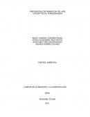 PREVENCION CONTAMINACION DEL AIRE