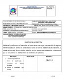CIRCUITOS R Y RC