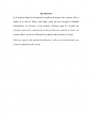 El estudio de la serie de Taylor