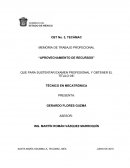 MEMORIA DE TRABAJO PROFECIONAL “APROVECHAMIENTO DE RECURSOS”