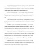 INFORME FINAL INVESTIGACIÓN DE MERCADOS CAPÍTULO I ANÁLISIS DE MERCADO