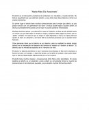 El aborto: Un acto con graves consecuencias físicas y psicológicas