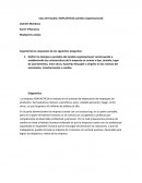 Caso de Estudio: ISOPLASTICOS (cambio organizacional)