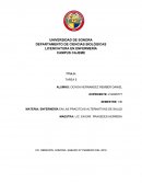 ENFERMERÍA EN LAS PRACITCAS ALTERNATIVAS DE SALUD