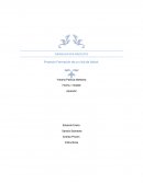 Proyecto Formación de un club de futbol.