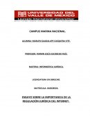 ENSAYO SOBRE LA IMPORTANCIA DE LA REGULACIÓN JURÍDICA DEL INTERNET.