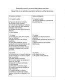 Desarrollos (fases) estimulación temprana