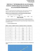 DETERMINACIÓN DE LAS ACTIVIDADES NITRATO Y NITRITO REDUCTASA EN PLANTAS. EFECTO DE LA NUTRICIÓN NITROGENADA