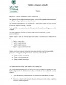 Tejidos y organos