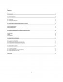 Imagen Directiva. Concepto.