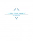 Ensayo Fresas Salvajes