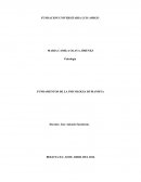 SUEÑOS DE LIBERTAD.