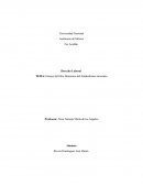 Ensayo del libro Demonios del Sindicalismo mexicano