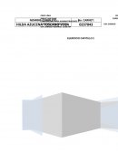 RESUMEN ADMINISTRACION 2