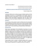 ANÁLISIS DE AGUAS EN TRES PUNTOS DEL ÁREA METROPOLITANA