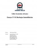 Ensayo N° 01 Burbujas Inmobiliarias