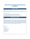 Reporte de un reactor productor de biodiesel