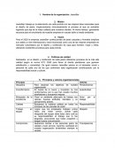 Estudio de mercado JeansBer