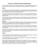 CASOS PRACTICO RAU - IPIA