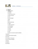 GERENCIA ESTRATEGICA. Introducción. Definición. Conceptos básicos.