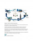 Módulo 7 Red de recolección de gas Loop