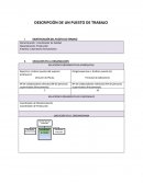 EJEMPLO DESCRIPCION PUESTO DE TRABAJO