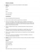 Material y métodos Objetivo: observar la estructura de los cloroplastos en células vegetales