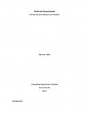 Informe de salida de campo geologia