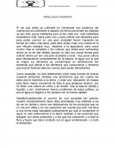 Tierra, agua y alimentos