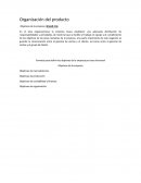 Metodologia de investigacion. Organización del producto