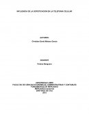 INFLUENCIA DE LA SOFISTICACION EN LA TELEFONIA CELULAR