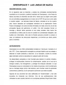 GREENPEACE Y LAS LINEAS DE NAZCA