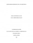 Responsabilidad profesional del contador publico