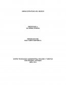 Estrategia para desarrollo de procesos