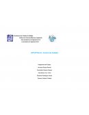 CONTROL de calidad, FEYBA S.A. de C.V.