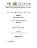 INFORME DE PRÁCTICAS PRE-PROFESIONALES I, SALES DEL NORTE S.A.C.