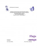 Flujo sanguíneo cerebral