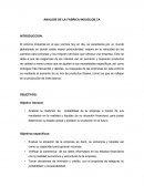 ANALISIS DE LA FABRICA INDUGLOB.CA
