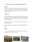 Causas y consecuencias de la pérdida de la biodiversidad