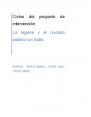 Ciclos del proyecto de intervención La higiene y el cuidado estético en Salta