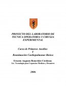 PROYECTO DEL LABORATORIO DE TECNICA OPERATORIA Y CIRUGIA EXPERIMENTAL